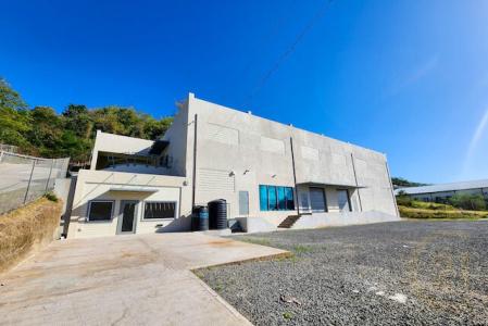 St.george West Indies, 그레나다