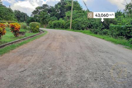 Telescope Estate - Lot No. 103, Telescope, St.andrew West Indies, 格林纳达