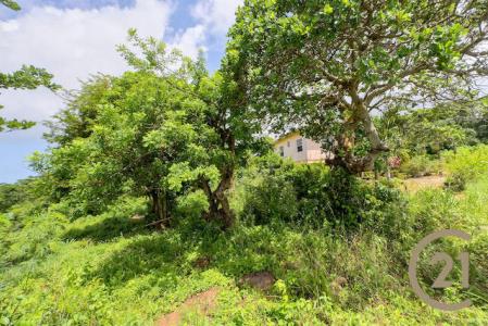 Bardia Estate - Lot No. 23, Bardia Estate, Saint David's, St.david West Indies, Grenada