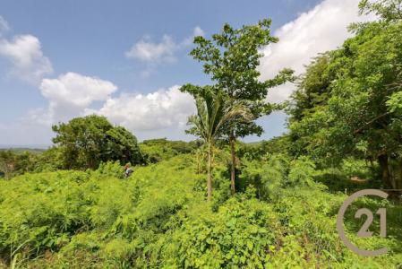 Bardia Estate - Lot No. 23, Bardia Estate, Saint David's, St.david West Indies, Grenada