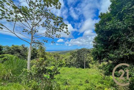 Providence - 15 Acres, Providence, 1099 West Indies, Grenada