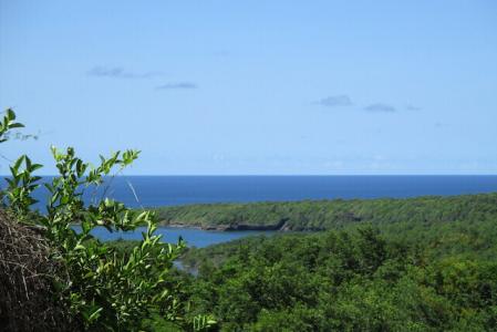La Sagesse Plot, La Sagesse, St.david West Indies, Grenada