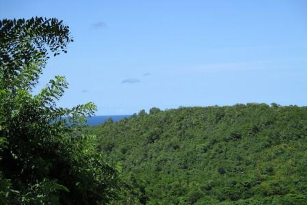 La Sagesse Plot, La Sagesse, St.david West Indies, Grenada