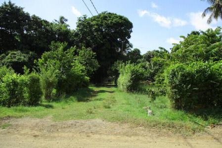 Telescope - Lot No. 190, Telescope, St.andrew West Indies, Grenada