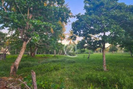 Steps from the Beach. Affordable Opportunity!, Gaspar Hernández, Espaillat 56000, República Dominicana