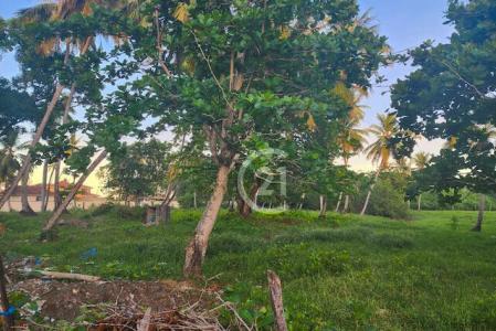 Steps from the Beach. Affordable Opportunity!, Gaspar Hernández, Espaillat 56000, República Dominicana