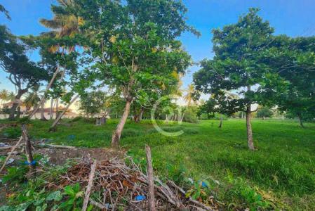 Steps from the Beach. Affordable Opportunity!, Gaspar Hernández, Espaillat 56000, República Dominicana