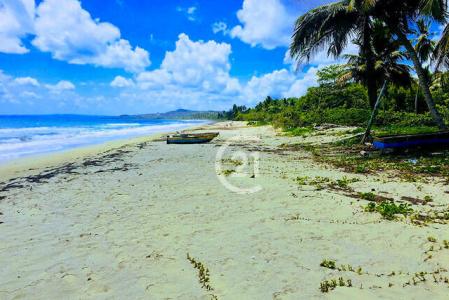 Prime beachfront properties in Sabaneta., Gaspar Hernández, Espaillat 56000, Dominican Republic