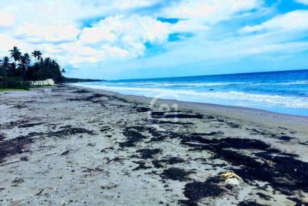 Prime beachfront properties in Sabaneta., Gaspar Hernández, Espaillat 56000, República Dominicana
