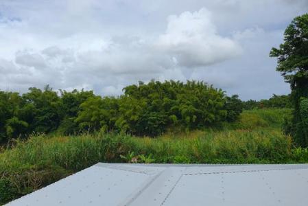 LAMENTIN Faugas, rue de faugas, Lamentin, Guadalupe