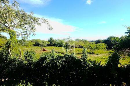 Investment Opportunity: Promising Land in Luperón, Luperón, Puerto Plata 57000, ドミニカ共和国
