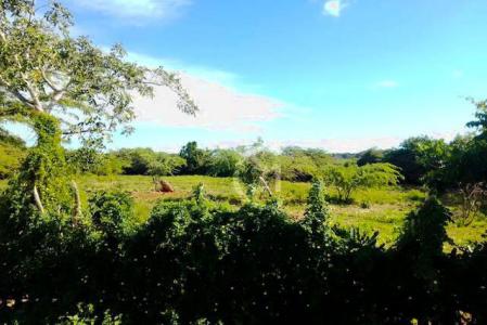 Investment Opportunity: Promising Land in Luperón, Luperón, Puerto Plata 57000, ドミニカ共和国