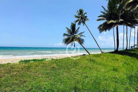 Beautiful beachfront lot for sale in Gaspar Hernández, Gaspar Hernández, Espaillat 56000, Dominican Republic