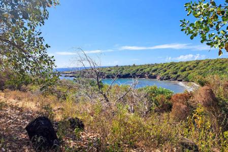 Lovely Cabier Land, St.andrew West Indies, Grenada