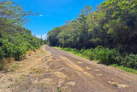 Lovely Cabier Land, St.andrew West Indies, Grenada