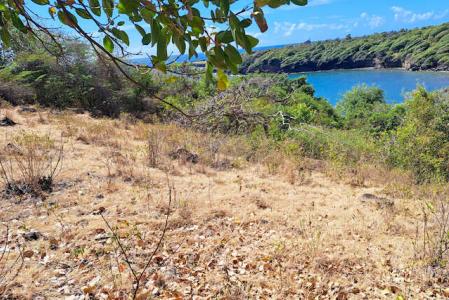 Lovely Cabier Land, St.andrew West Indies, Grenada