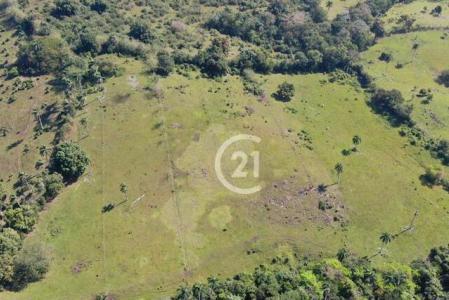 Farm., María Trinidad Sánchez, María Trinidad Sánchez 33000, Dominican Republic