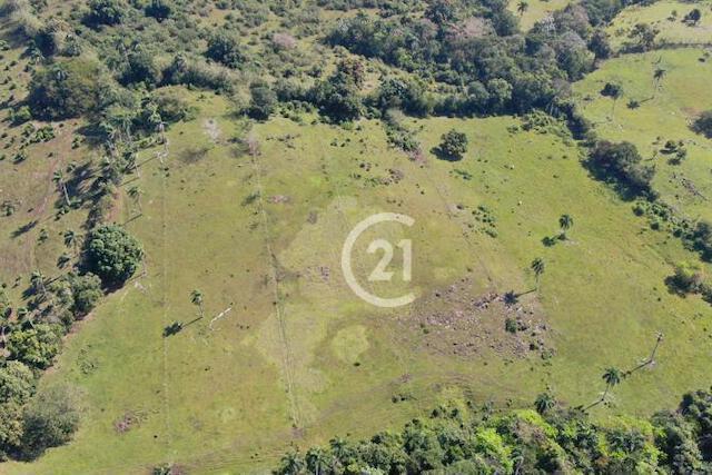 Farm., María Trinidad Sánchez, María Trinidad Sánchez 33000, Доминиканская Республика