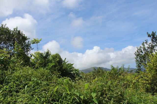 La Digue Lot A, Dry River Estate, La Digue, St.andrew West Indies, Grenada