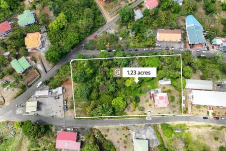 Grand Bras Main Road Lot with Building, St.andrew West Indies, Гренада