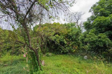 Grand Bras Main Road Lot with Building, St.andrew West Indies, Гренада