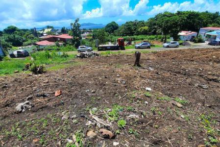 TROIS-RIVIÈRES-POTERIE, Trois-rivières, Guadeloupe