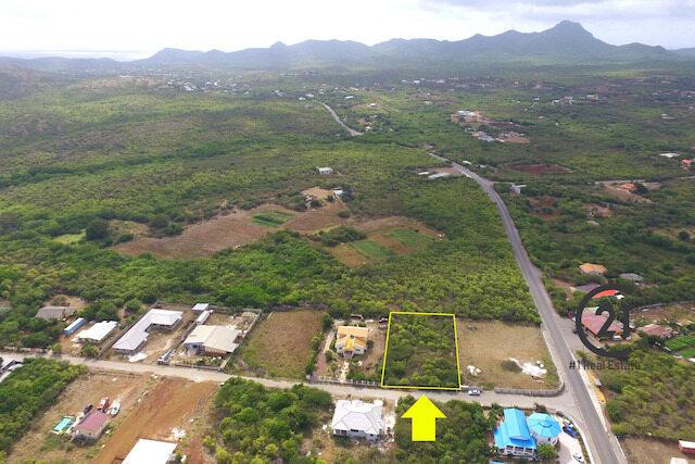 Hofi Abou Lot, Hofi Abou, Banda Bou, 쿠라사우