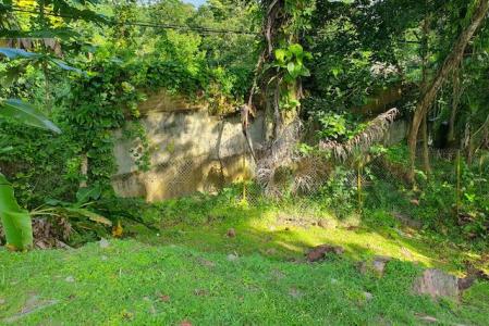 PRISE D'EAU, Petit-bourg, Guadeloupe