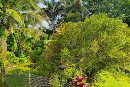 PRISE D'EAU, Petit-bourg, Guadeloupe
