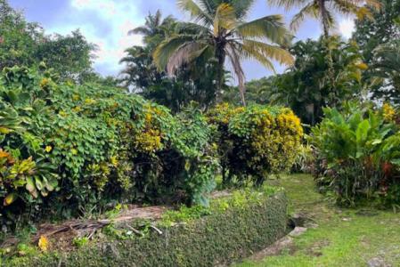 PETIT-BOURG -Vernou, 158 Impasse Loic Nesty, Petit-bourg, Guadalupe