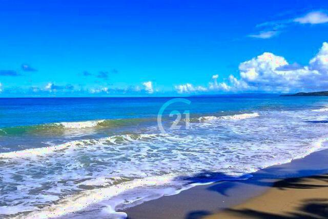 Natural Oasis by the Beach., Gaspar Hernández, Espaillat 57000, Dominican Republic