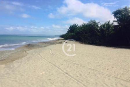 Natural Oasis by the Beach., Gaspar Hernández, Espaillat 57000, Dominican Republic