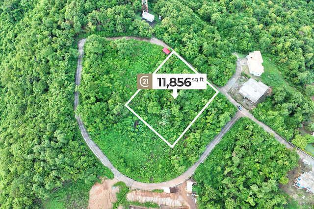 Hope City - Lot  No.120 D, Hope City, Hope, St.andrew West Indies, Grenada