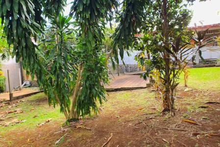 PETIT-BOURG - DAUBIN, Daubin, Petit-bourg, Гваделупа