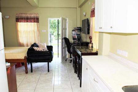 Avocado Studio Ground Floor, Dr. Grooms Road, Point Salines, St.george West Indies, Granada