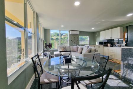 Glass View APT, St.george West Indies, Grenada