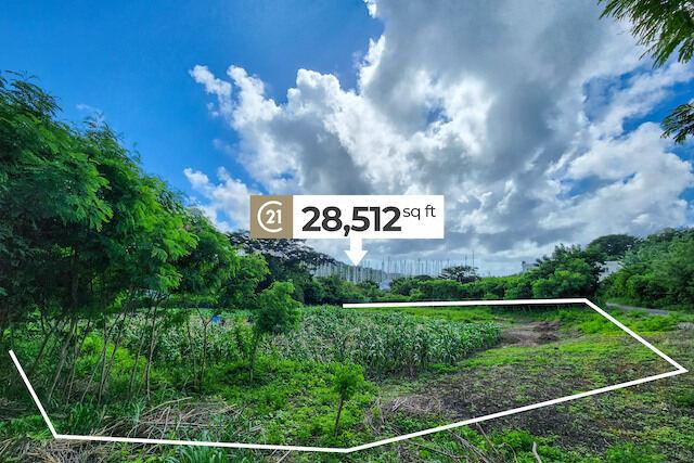 Hillcrest Grove, Hillcrest Grove Drive, St.george West Indies, Grenada