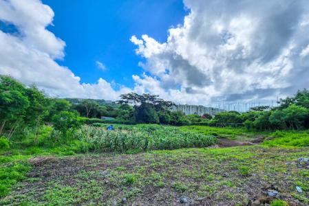 Hillcrest Grove, Hillcrest Grove Drive, St.george West Indies, Grenada