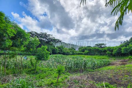 Hillcrest Grove, Hillcrest Grove Drive, St.george West Indies, Grenada