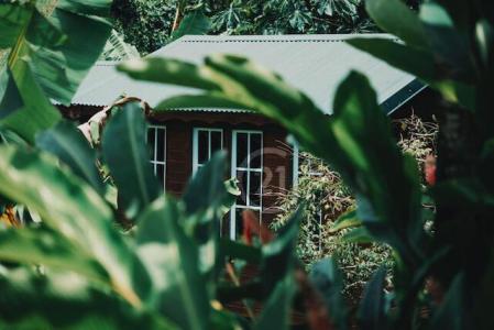 Ensemble immobilier Unique Rivière Pilote, Rivière-Pilote, Le Marin, Martinique