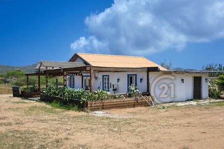 Sombre 31, Sombre 31, Santa Cruz, Аруба