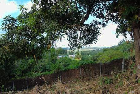 Terrain viabilisé au François 908m², Le François, Le Marin, Martinique