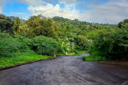 Terrain viabilisé au François 603m², Le François, Le Marin, Martinique