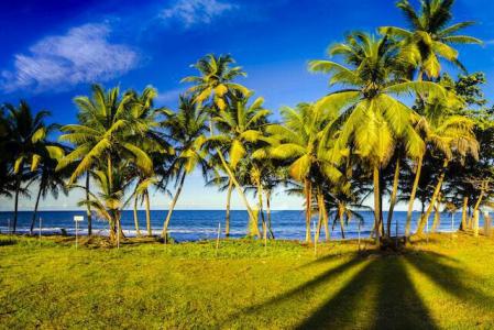 SAINTE MARIE - Villa d’exception face à l’océan, Sainte-Marie, La Trinité, 마르티니크