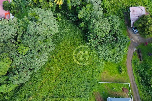 Terrain à Bâtir Roches Carrées 1054m², Le Lamentin, Fort-de-france, Martynika