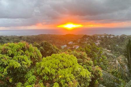 Nature Lovers, Belle Vue, St.david West Indies, Grenada