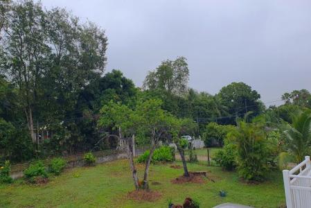 PETIT-BOURG - Daubin, 1602 chemin de Daubin, Petit-bourg, Guadalupe