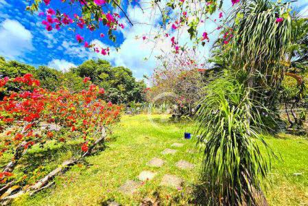 Villa F3 avec Piscine et studio indépendant, Sainte-Anne, Le Marin, Martinica