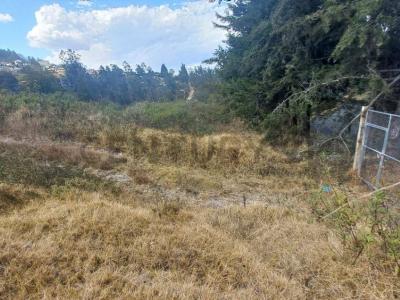 Quito, Pichincha 00001, Equador