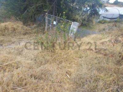 Quito, Pichincha 00001, Equador